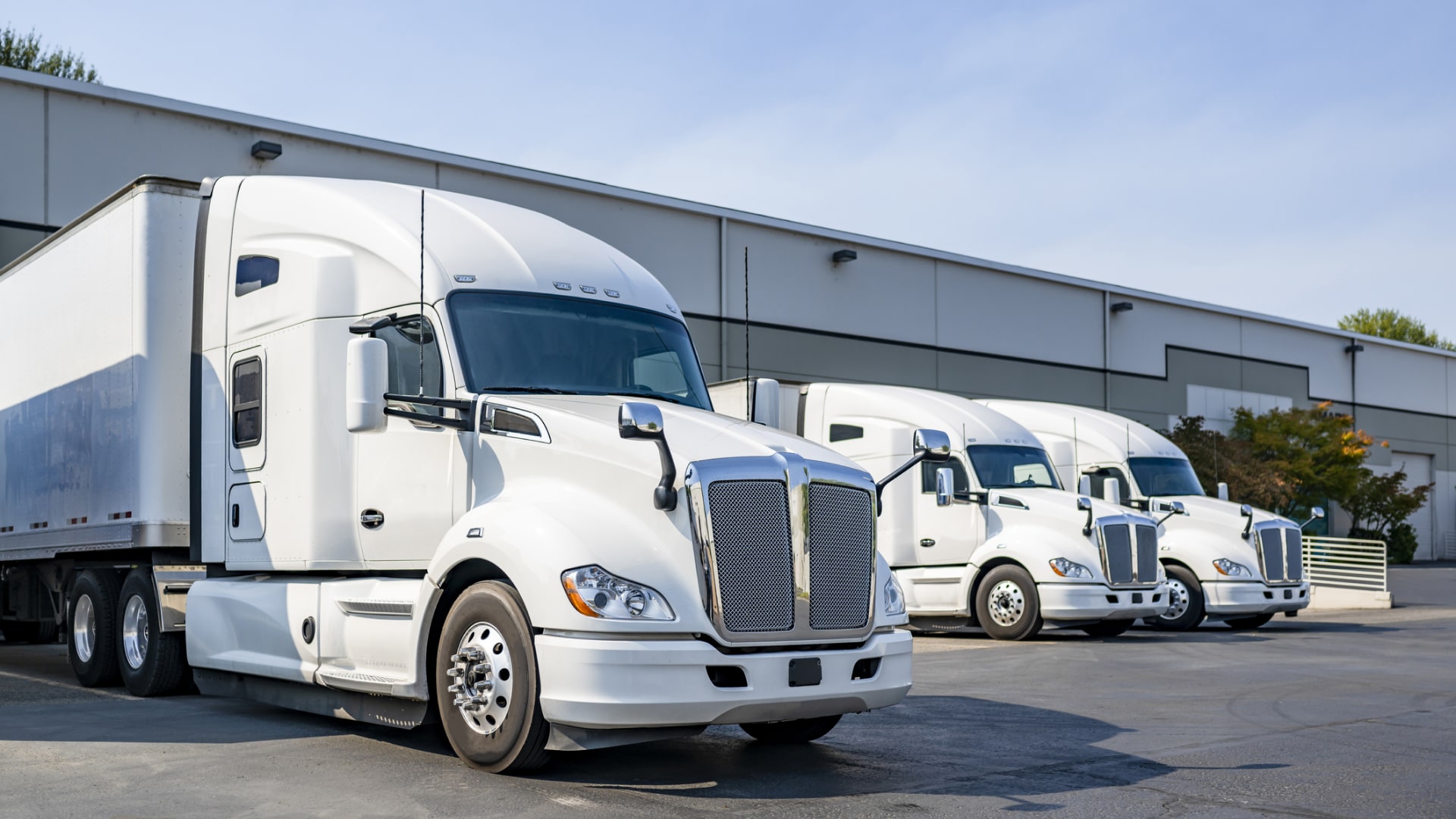 The Role of Real-Time Data in Modern Freight Management Systems